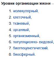 изображение.png