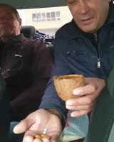 17514332605200.mp4