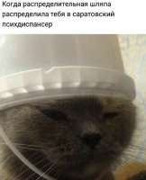 161210053413799444.jpg