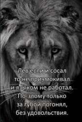 hRquGco2Wn8FdMfd8bowKN8c-sPaZDBO0xoNc3R1C5zNftin-7t-lR0TDp5VUqj60lX22bUCBwsAIl2SGhv6.jpg