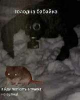 16559859477941.png