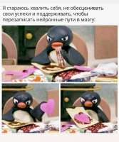 17541070093751.jpg