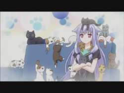 000.webp