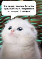 1757186443313.jpg