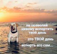 17308998437673.jpg