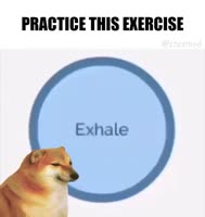 17417240081492.mp4