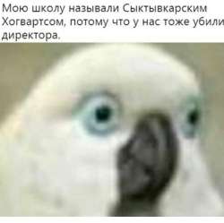 17513879836372.jpg