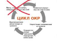 IMG20251119134456.jpg