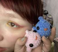 IMG5246.jpeg