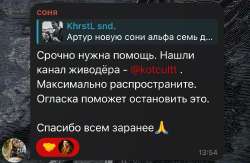 IMG1813.jpeg