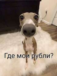 2df40a58947858ab85d4ce18bf9d0718.jpg
