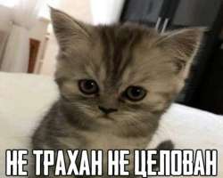 IMG7086.jpeg