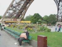 njbbcmia.webp
