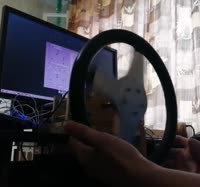 23123123.mp4