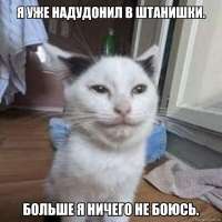 1000046404.jpg