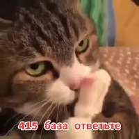 17233541148750.jpg