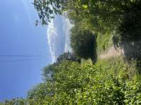 IMG0089.jpeg