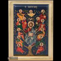 TreeofLife-CLS.webp