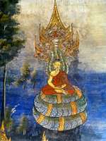 090MucalindaprotectsBuddha(detail)(9192151900).jpg