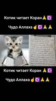 VID20250712003859641.mp4