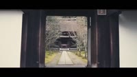 212678851.mp4
