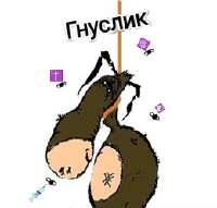 175031257916580482.jpg