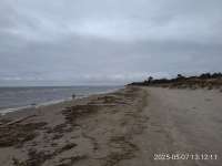 IMG20250507131211.jpg