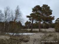 IMG20250507132041.jpg