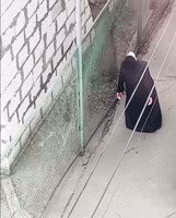 17525033209010.mp4