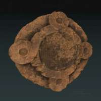Documents-ByzantineInscriptions.webp