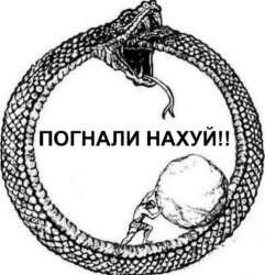 1753039063846.jpg