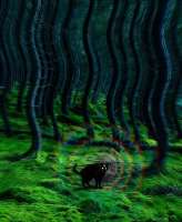 IjgvLZ6gCAyTM0AmKKN-vOhIpx1GAWpGuAxN3g336ADqx18qghnOCDjgrg9LylFJxQ5glNK9URp0EX6jJFMIc.jpg