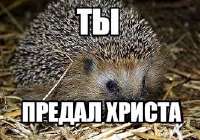 images.jpg