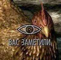 orig.jpeg