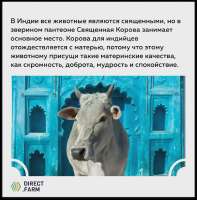 b400ec0918734ead8fe713b7c03064041370430.webp