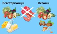 Вегетарианцы.png