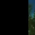 здравствуйте.mp4