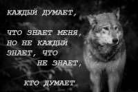 99a0e7d0a2352430fed2c0e2b9367fc4.jpg