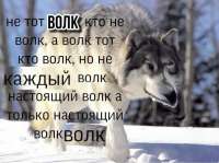 8970617600.jpg