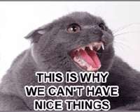 cant-have-nice-things-this-is-why-we-cant-have-nice-things.gif
