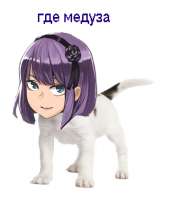 ГдеМедуза.png