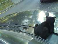 wc7008c9a.jpg