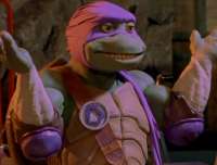 3d turtle 16.jpg