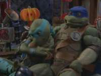 3d turtle 18.jpg