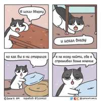 Y5yQ6q5Lj5w.jpg