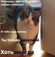 xTOp7ZogEBg.jpg