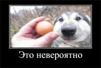 16215204156030.png