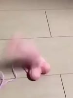16619625390720.webm