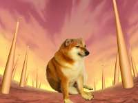 vgtappu8yuz51.jpg