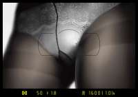 tumblrp2y5ayDiqz1r3yew1o2r11280.jpg